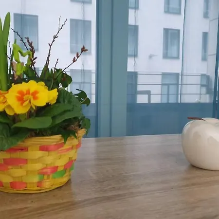 Apartamento Altstadt Frauenkirche Moderncomfort Netflix Rainshower *